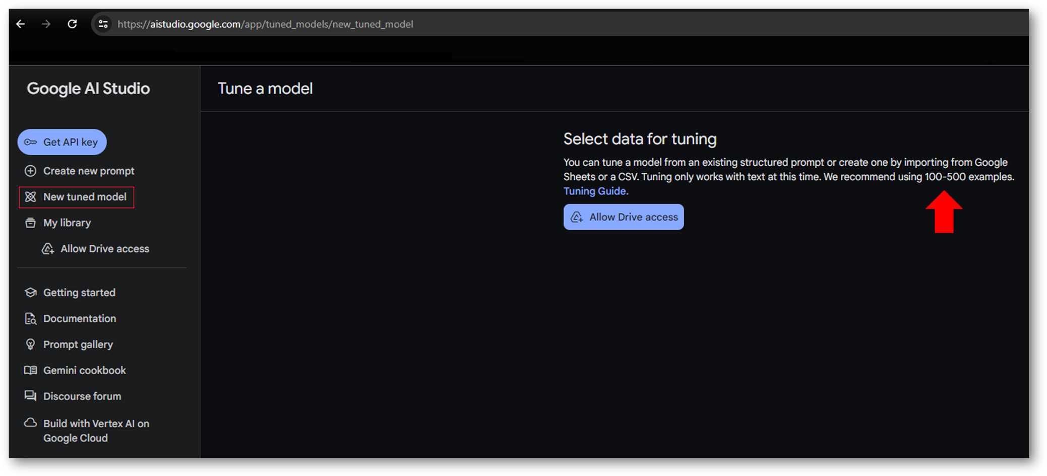 Fine-Tuning - google